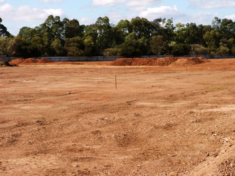 Completed Land After Clearing