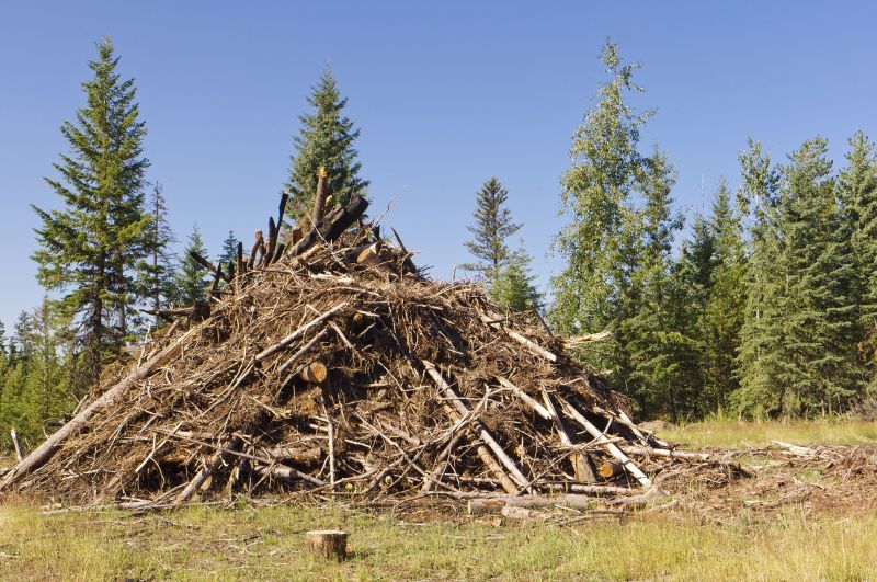 Brush Clearing Can Prevent Potential Fires!