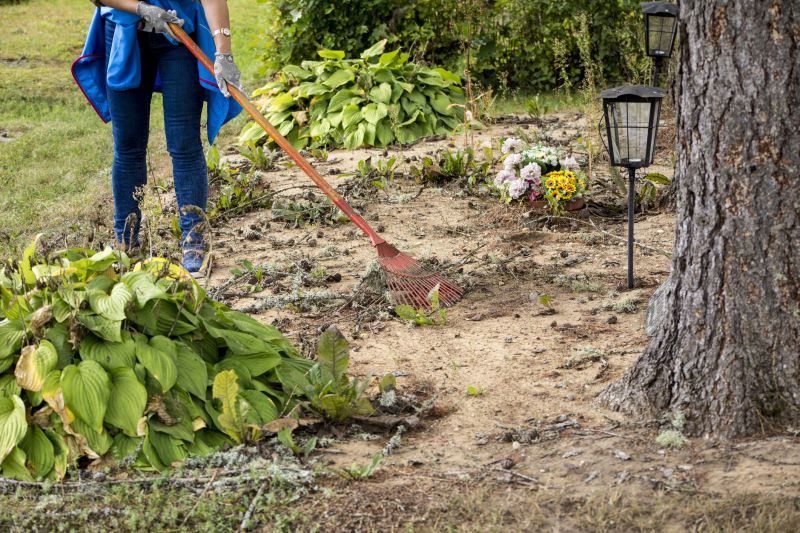 Contact About Brush Clearing